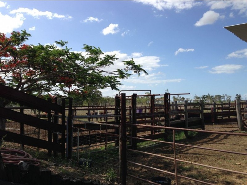 46 Hughes Road, Alton Downs QLD 4702