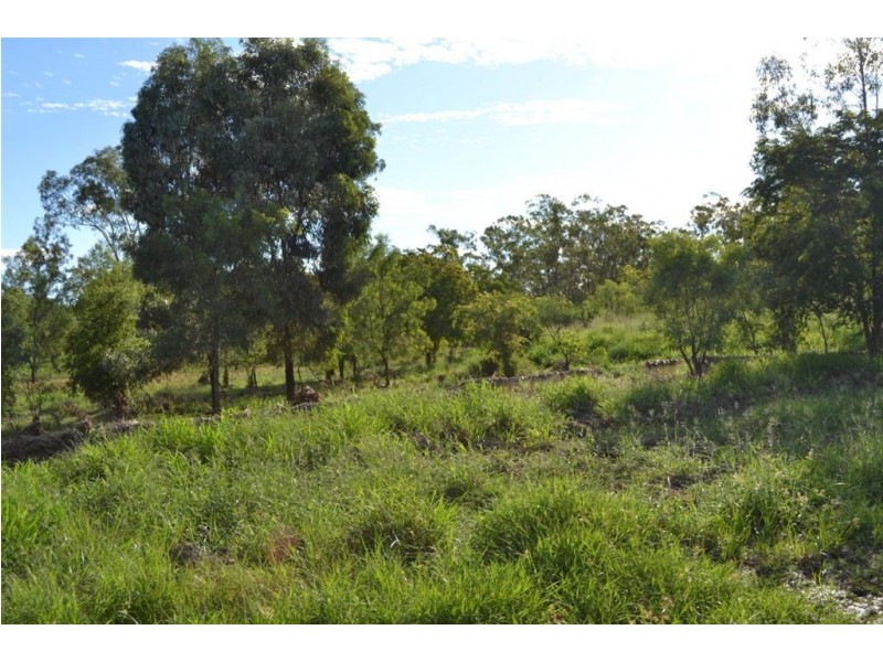 L8 PHEASANT ROAD, Wowan QLD 4702