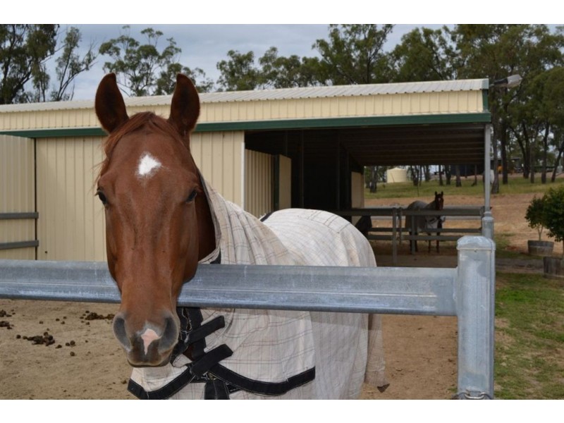 5 SPRAGG ROAD, Alton Downs QLD 4702