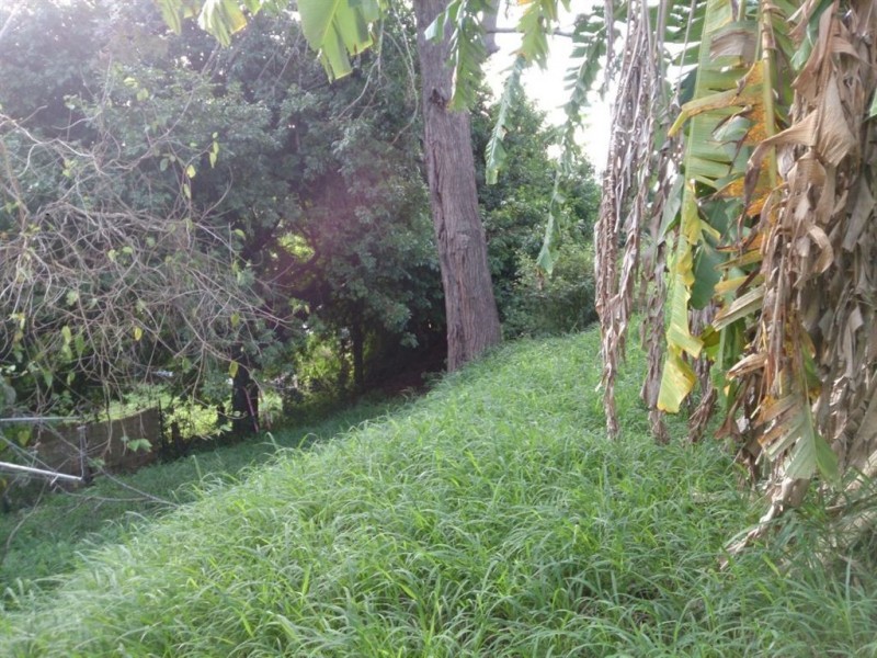 3 Morgan St, Mount Morgan QLD 4714