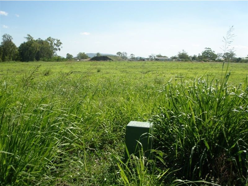 36 Capricorn Street, Gracemere QLD 4702