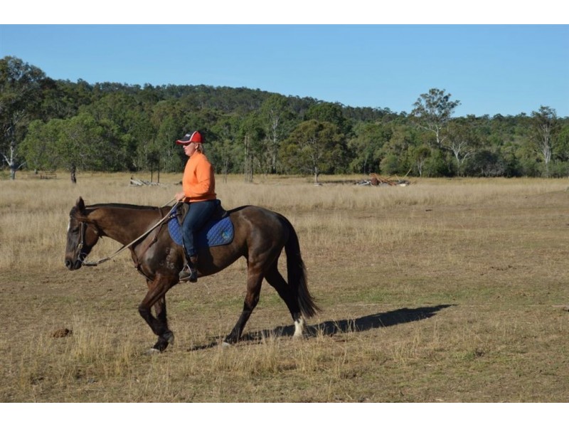 211 Morcom Rd, Calliope QLD 4680