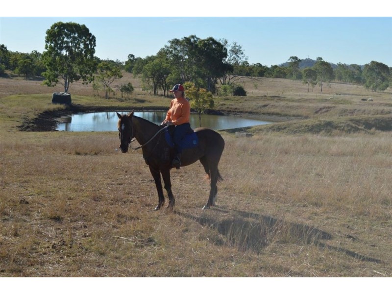 211 Morcom Rd, Calliope QLD 4680