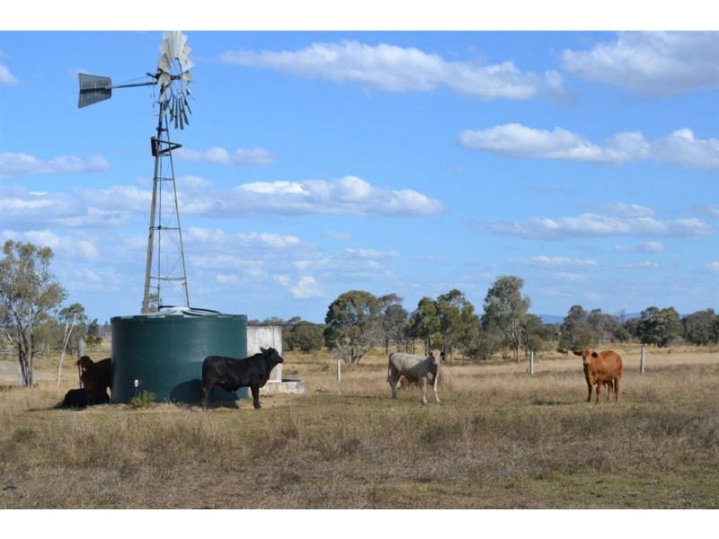 625 Ridgelands Road, Alton Downs QLD 4702