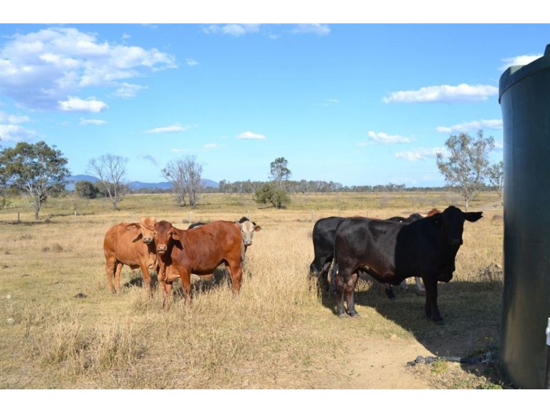 625 Ridgelands Road, Alton Downs QLD 4702