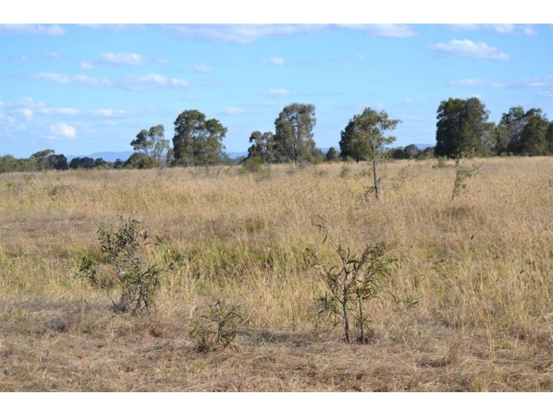 625 Ridgelands Road, Alton Downs QLD 4702