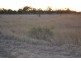 L11/306 NINE MILE ROAD, Alton Downs QLD 4702