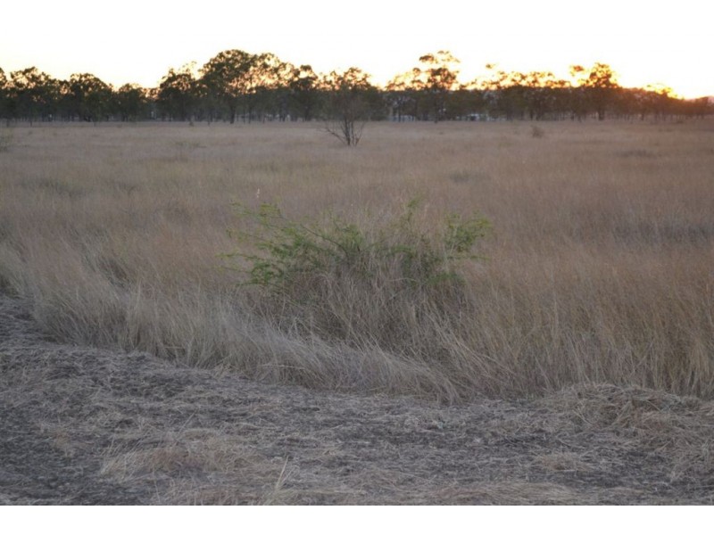 L11/306 NINE MILE ROAD, Alton Downs QLD 4702