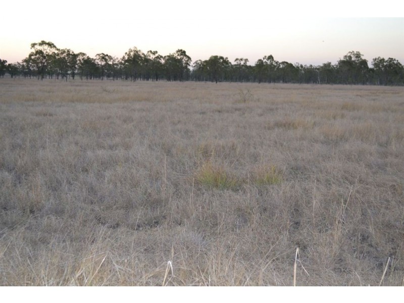 L11/306 NINE MILE ROAD, Alton Downs QLD 4702