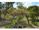 323 E WILLIAMS ROAD, Kabra QLD 4702
