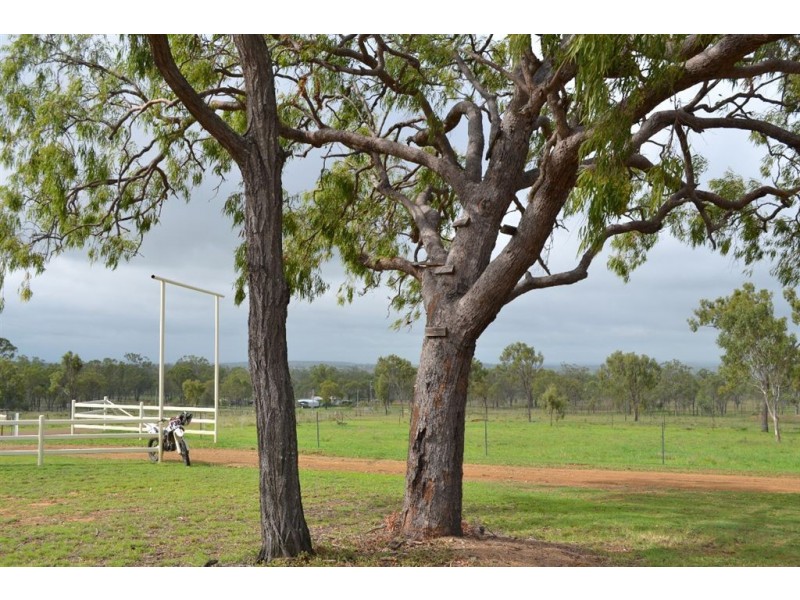 101 Bond Road, Alton Downs QLD 4702