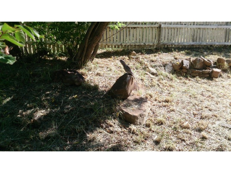 79 River St, Mount Morgan QLD 4714