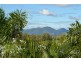 12 Angela Court, Gracemere QLD 4702