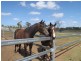 Lot 29 Clifton Street, Gracemere QLD 4702
