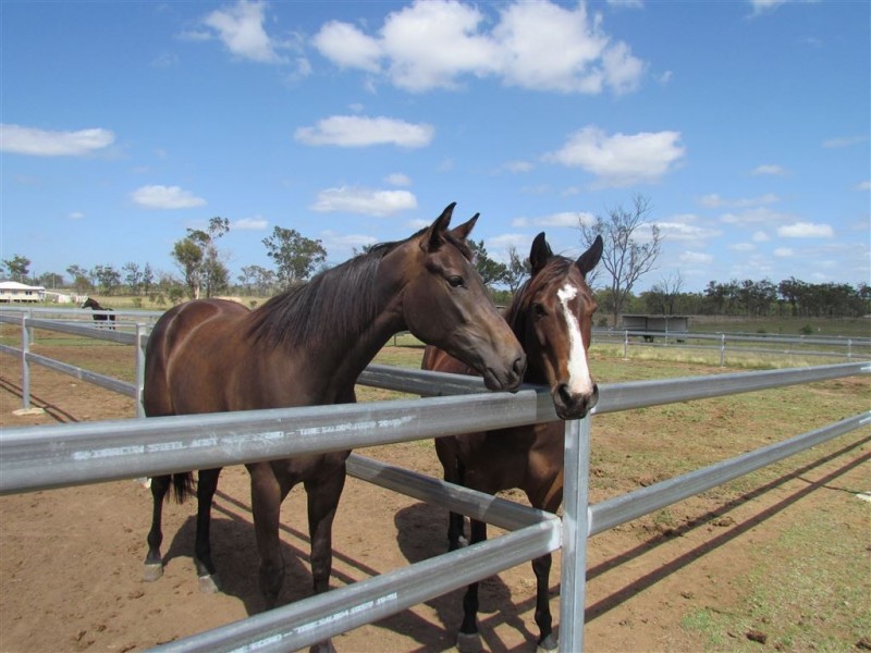 Lot 29 Clifton Street, Gracemere QLD 4702