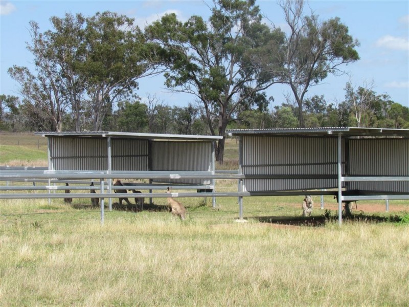 Lot 29 Clifton Street, Gracemere QLD 4702