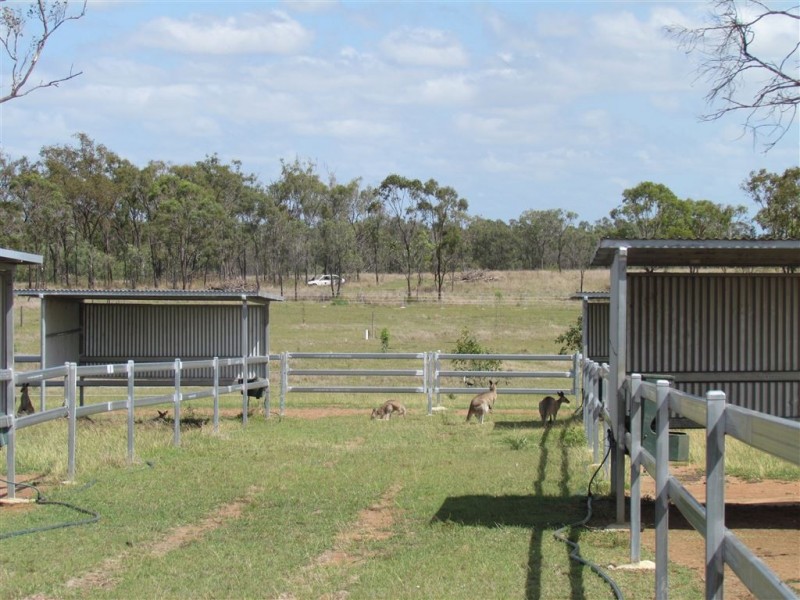 Lot 29 Clifton Street, Gracemere QLD 4702