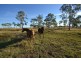 34 Nicholson Road, Alton Downs QLD 4702
