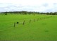 49 O Brien Road, Alton Downs QLD 4702