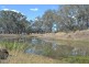 222 Del Rosa Road, Alton Downs QLD 4702