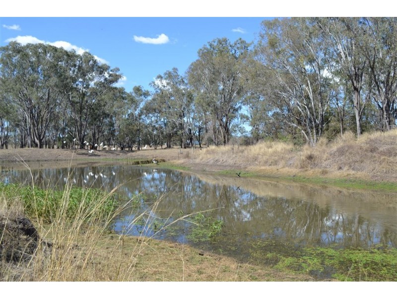 222 Del Rosa Road, Alton Downs QLD 4702