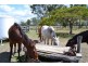 Lot 5 Gavial-Gracemere Road, Gracemere QLD 4702