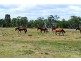 Lot 5 Gavial-Gracemere Road, Gracemere QLD 4702