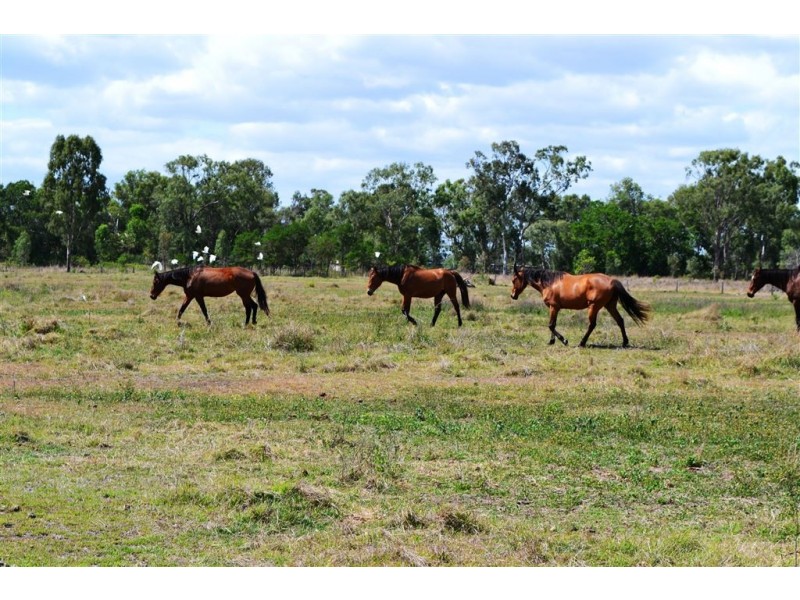 Lot 5 Gavial-Gracemere Road, Gracemere QLD 4702