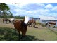 Lot 5 Gavial-Gracemere Road, Gracemere QLD 4702