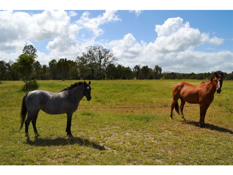 45 Hume Road, Kabra QLD 4702