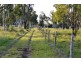 134 Tyrell Road, Alton Downs QLD 4702