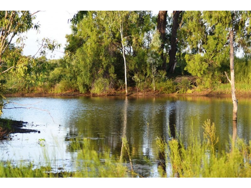 134 Tyrell Road, Alton Downs QLD 4702