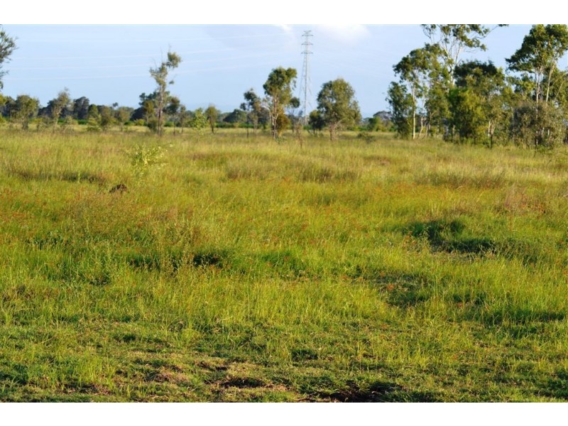 134 Tyrell Road, Alton Downs QLD 4702