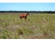 Lot 3/65 Birrahlee Road, Ridgelands QLD 4702
