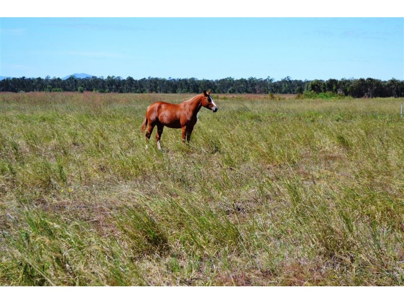 Lot 3/65 Birrahlee Road, Ridgelands QLD 4702