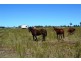 Lot 3/65 Birrahlee Road, Ridgelands QLD 4702