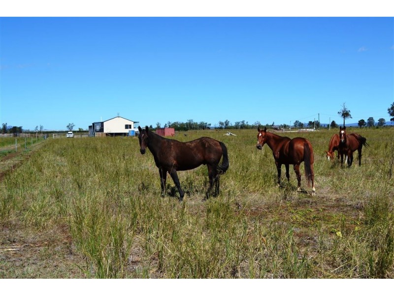 Lot 3/65 Birrahlee Road, Ridgelands QLD 4702