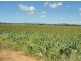 258 Evans rd, Ridgelands QLD 4702