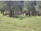 258 Evans rd, Ridgelands QLD 4702