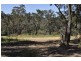 10a LOMANDRA PL, Katoomba NSW 2780