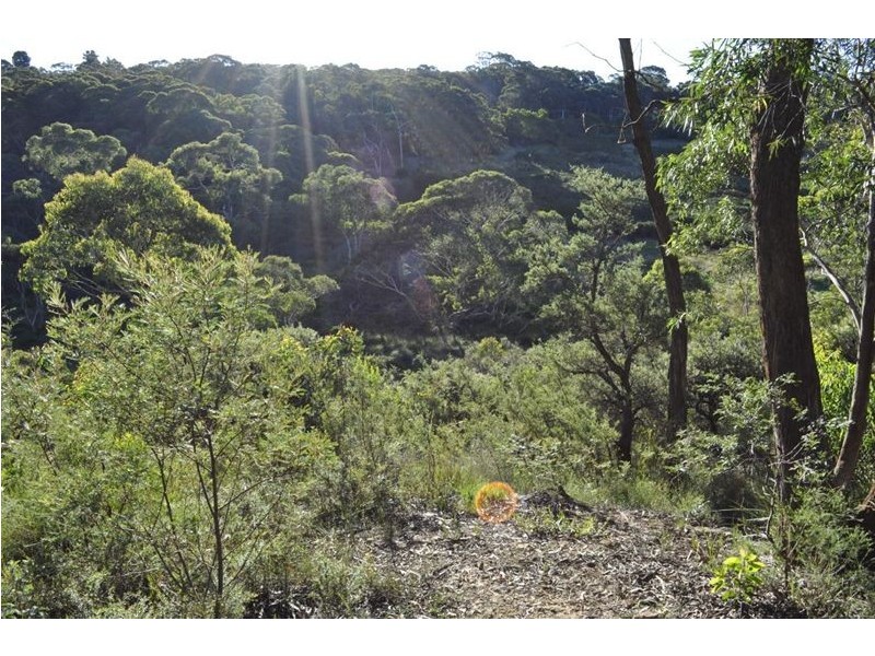 42 FIRST AVE, Katoomba NSW 2780