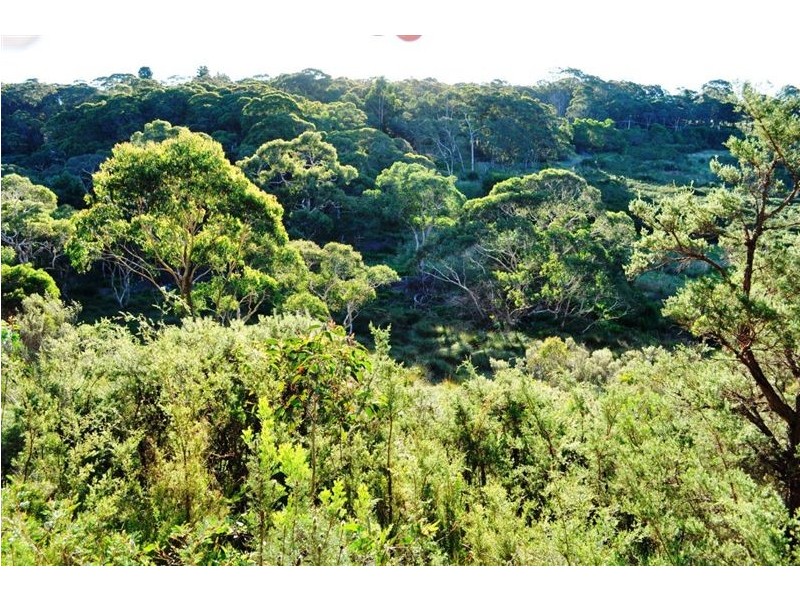 42 FIRST AVE, Katoomba NSW 2780