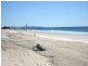 20/437 Golden Four Drive, Tugun QLD 4224