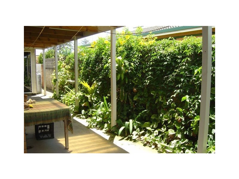 Bilinga QLD 4225
