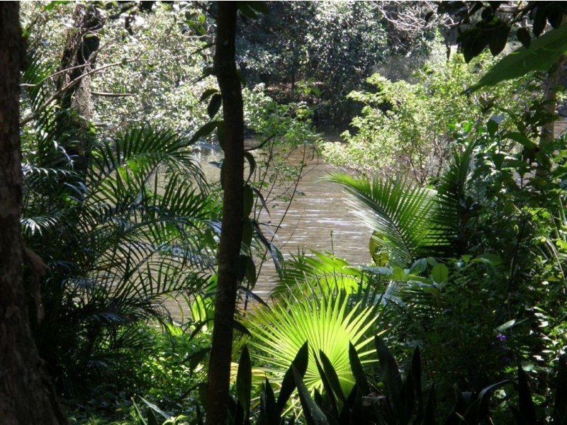 2/29 Farrell Drive, Tugun QLD 4224