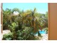 33/558 Gold Coast Highway, Currumbin QLD 4223