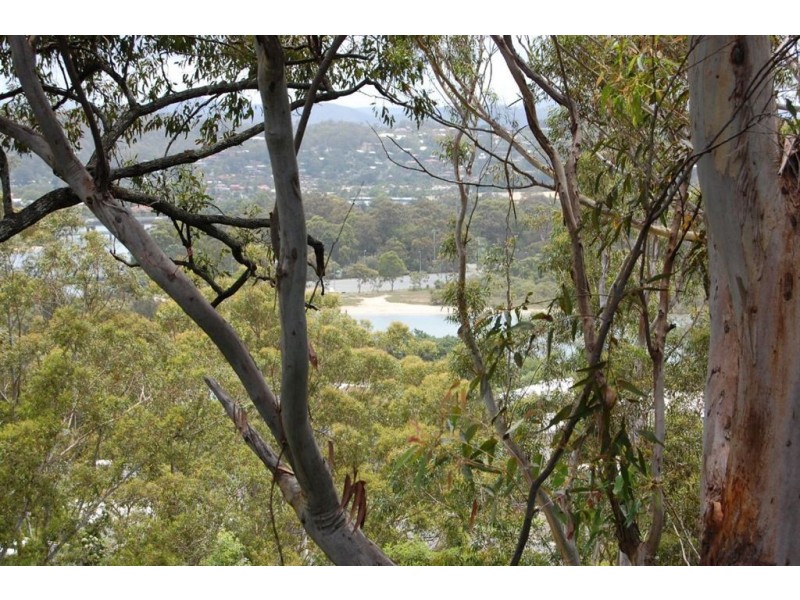 3/53 Thrower Drive, Currumbin QLD 4223
