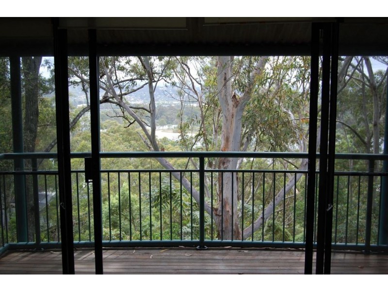 3/53 Thrower Drive, Currumbin QLD 4223
