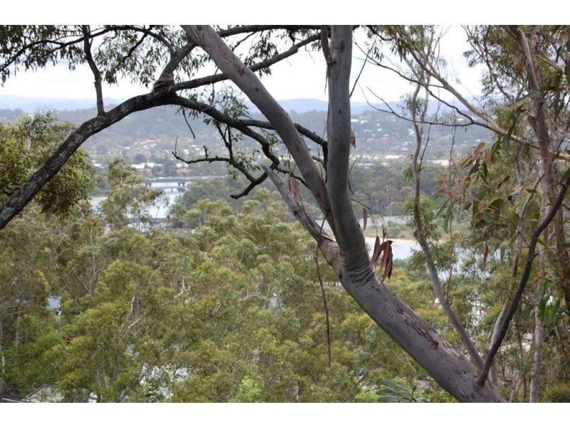 3/53 Thrower Drive, Currumbin QLD 4223