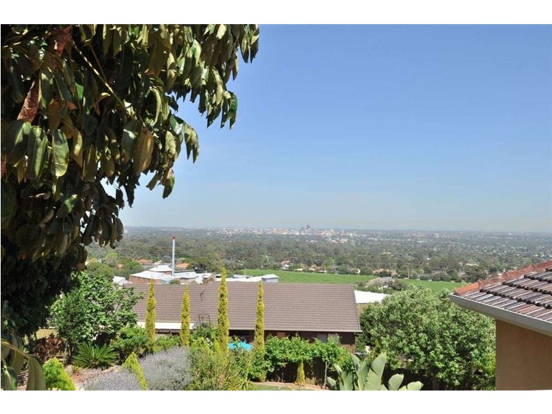 11 Traminer Way, Auldana SA 5072